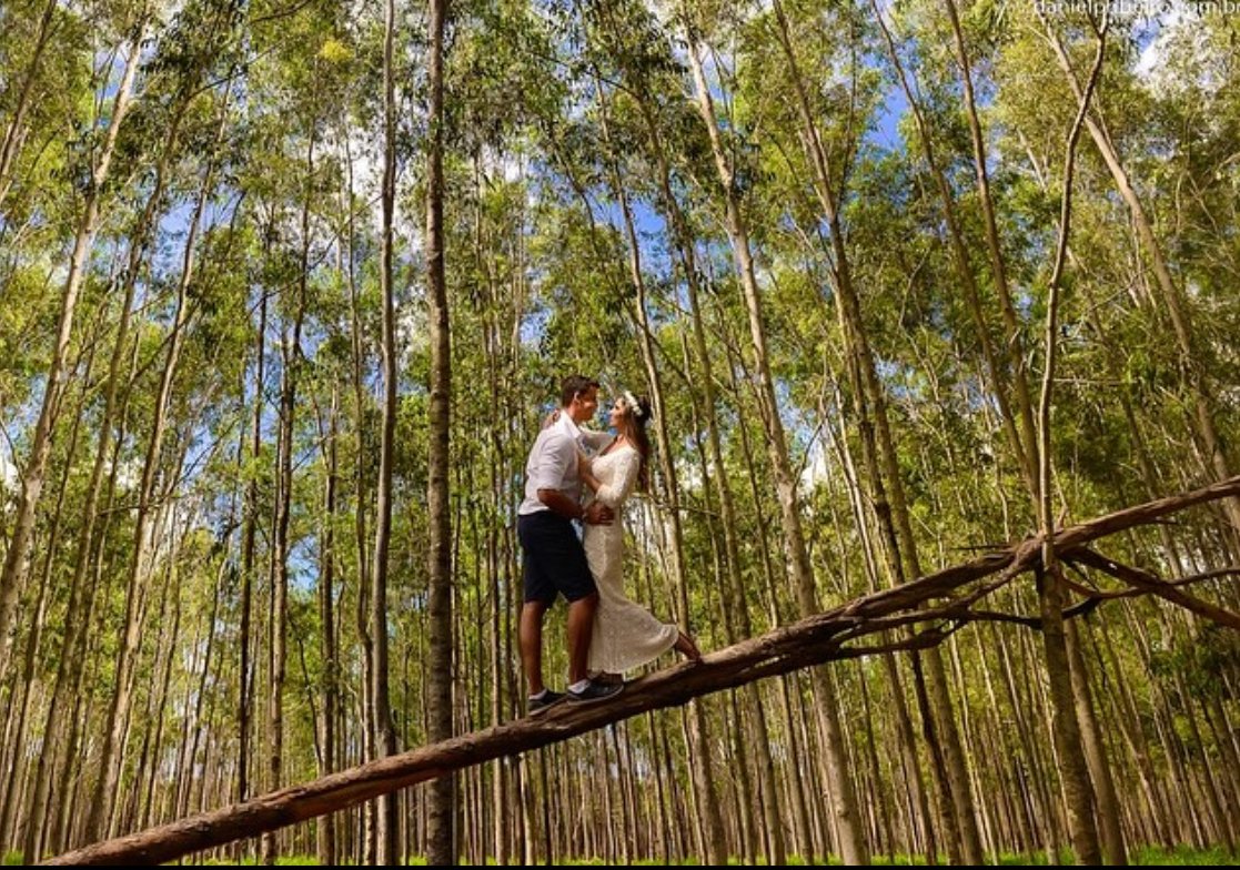 Composição para uma foto criativa!