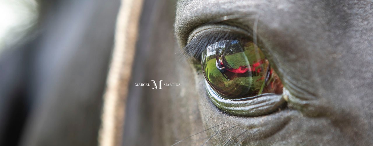 Banner de Marcel Martins