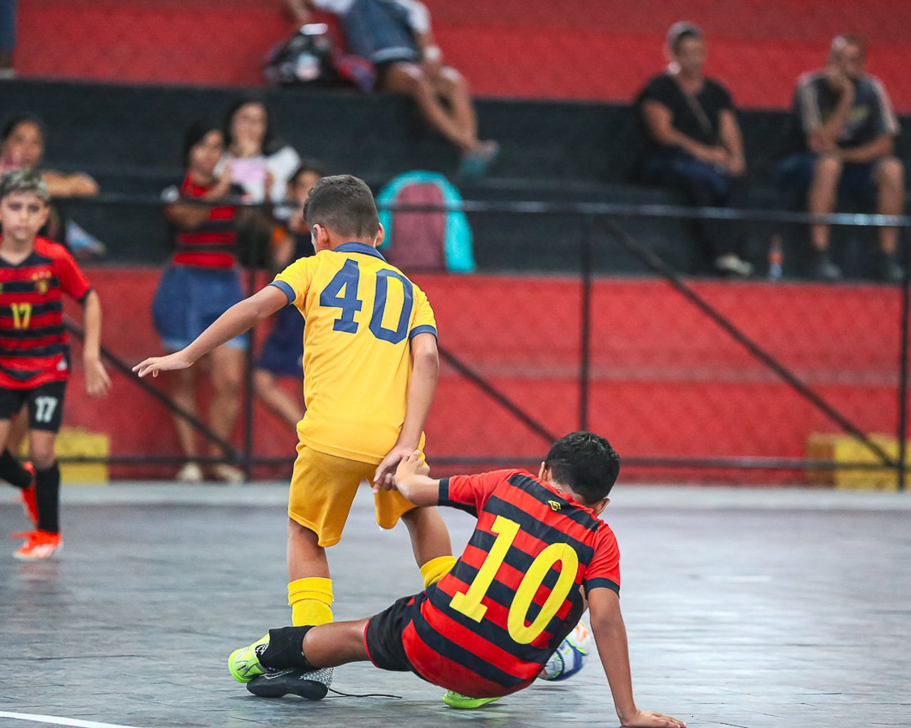 Banner de Camila Nadedja Teixeira Barbosa